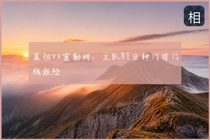 莱切vs富勒姆，主队81分钟门将门线救险